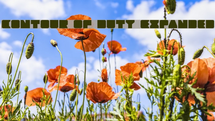 Contour of Duty Expanded Font examples