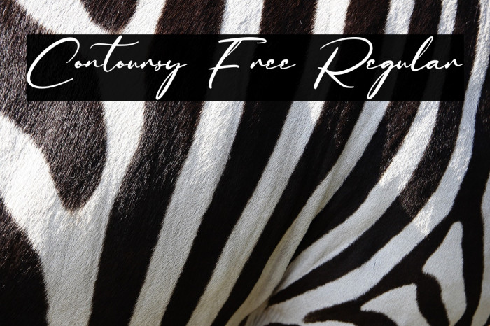 Contoursy Free Regular Example 1