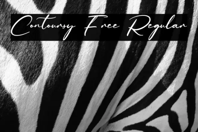 Contoursy Free Regular Font examples