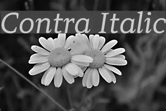 Contra Italic Font examples