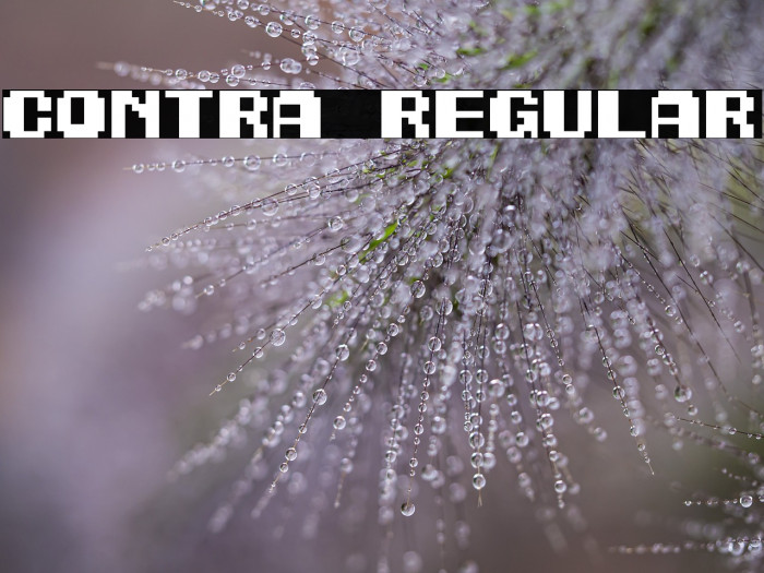 Contra Regular Example 3