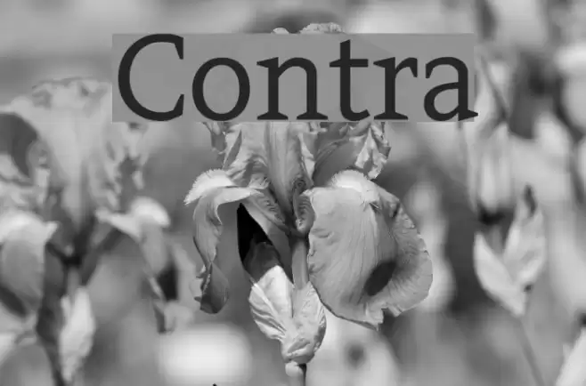 Contra Fuentes examples