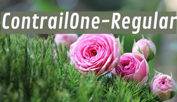 ContrailOne-Regular Font examples