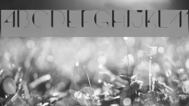 Contrasto Font examples