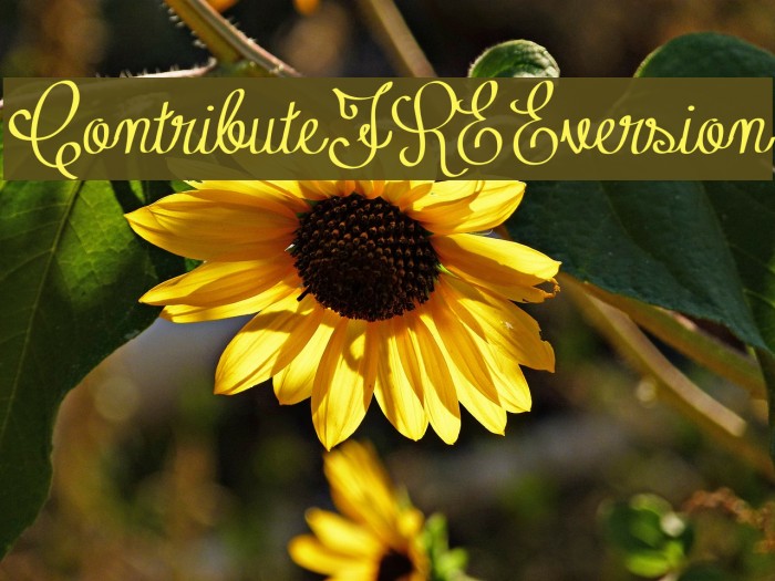 Contribute_FREE-version Font examples