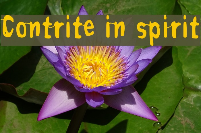 Contrite in spirit Font examples