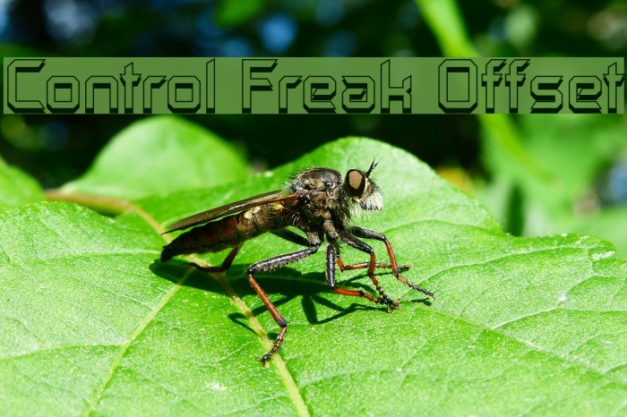 Control Freak Offset Fuentes examples