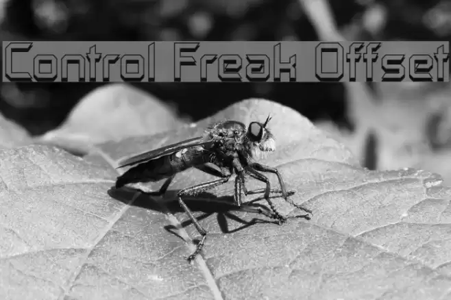 Control Freak Offset Polices examples