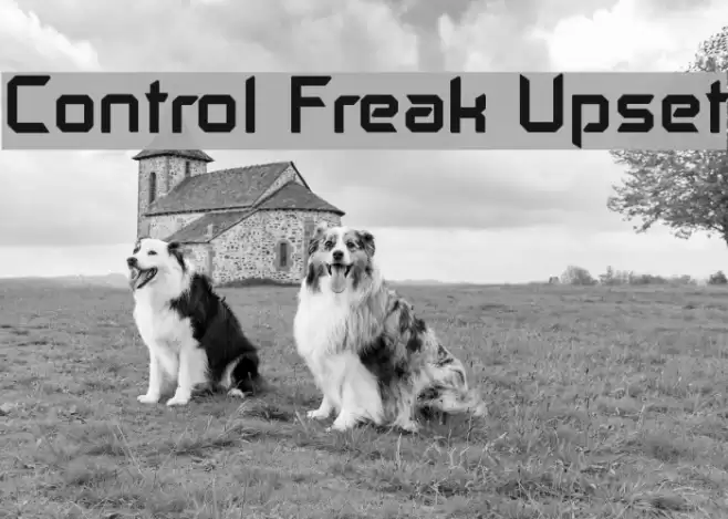 Control Freak Upset फ़ॉन्ट examples