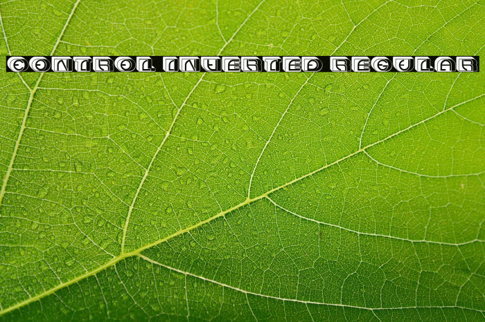 Control Inverted Regular Example 1