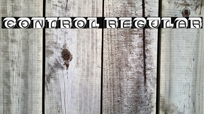 Control Regular Example 2