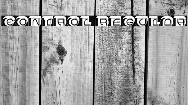 Control Regular Font examples