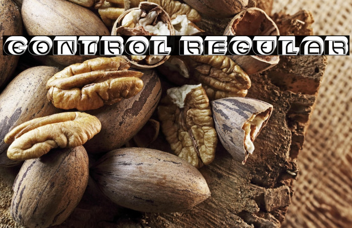 Control Regular Example 3