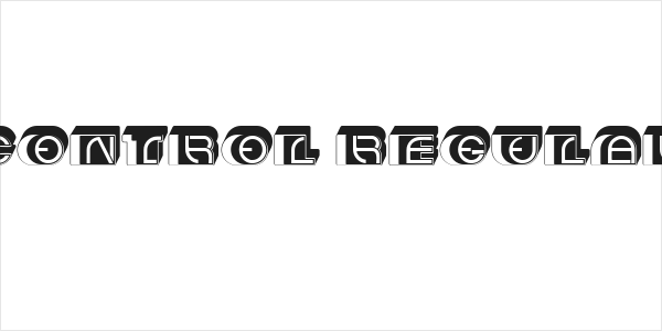 Control Regular Logo