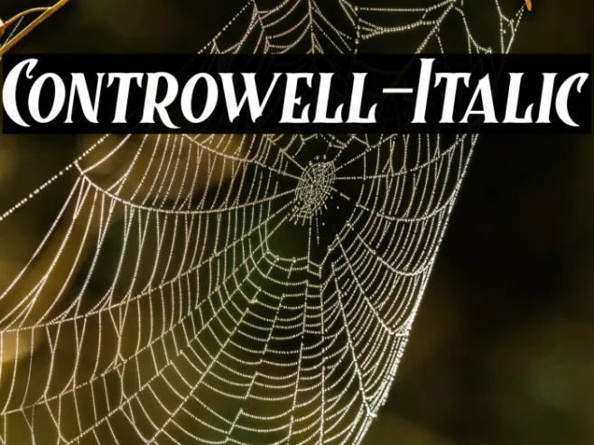 Controwell-Italic Example 3