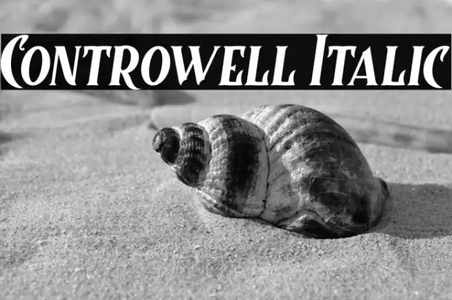 Controwell Italic Font examples