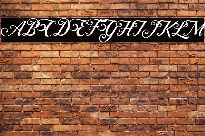 ControwellScript-Regular Example 1