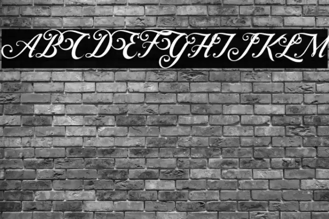 ControwellScript-Regular Font examples