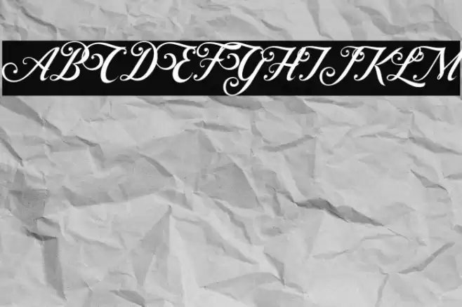 ControwellScript-Regular Font examples