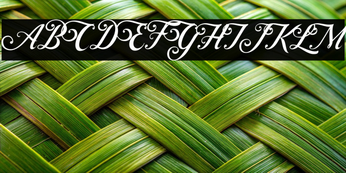 ControwellScript-Regular Example 3