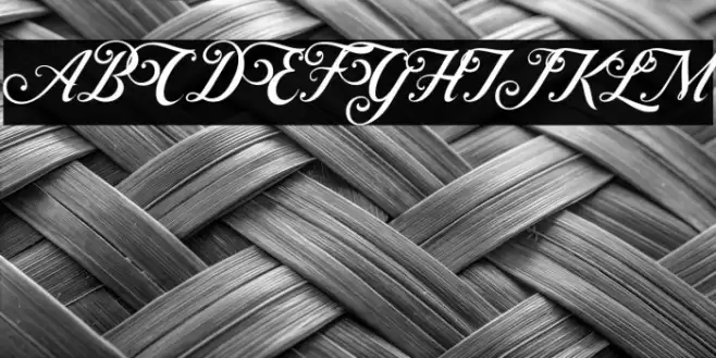 ControwellScript-Regular Font examples