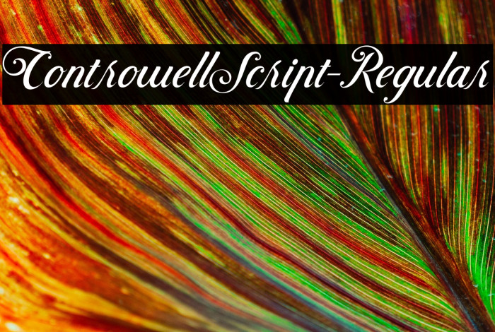 ControwellScript-Regular Example 2