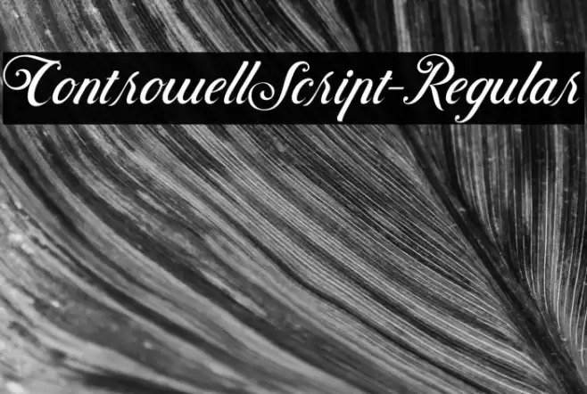ControwellScript-Regular Font examples