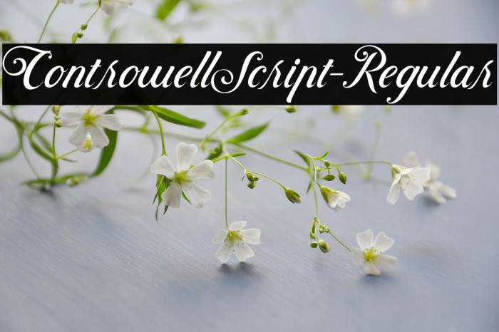 ControwellScript-Regular Example 3