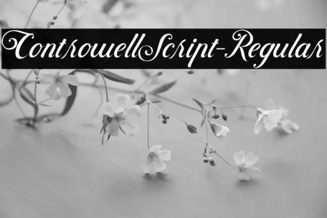 ControwellScript-Regular Font examples