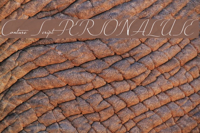 Conture Script PERSONAL USE Example 1