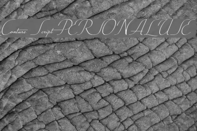 Conture Script PERSONAL USE Font examples
