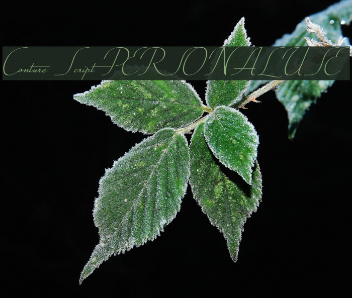 Conture Script PERSONAL USE Example 2