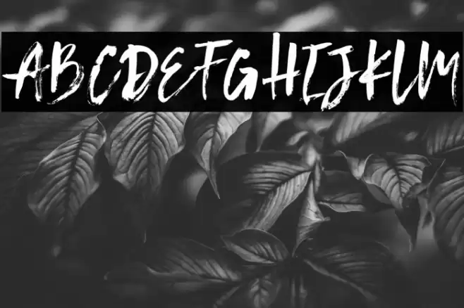 Conundrum Fuentes examples