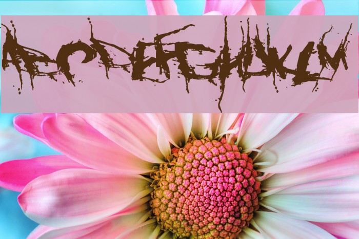 Convalescence Fonte examples