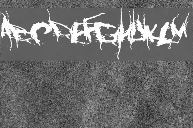 Convalescence Font examples