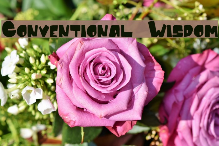 Conventional Wisdom Font examples