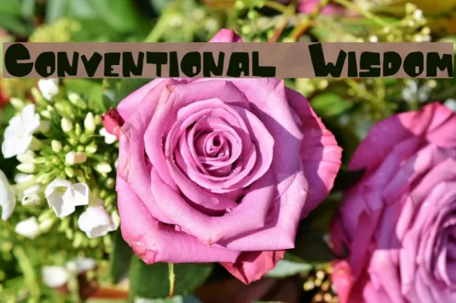 Conventional Wisdom Example 2