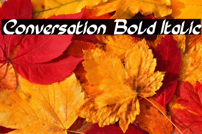 Conversation Bold Italic Example 1