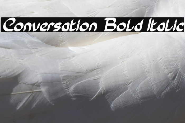 Conversation Bold Italic Example 2