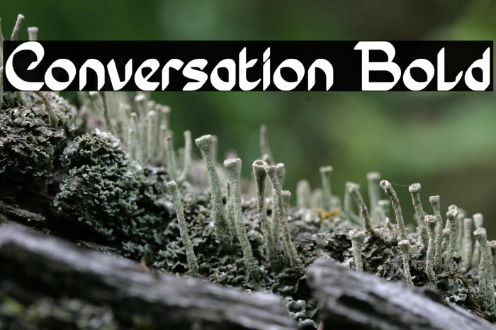 Conversation Bold Example 3