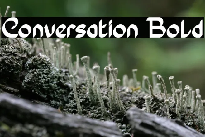 Conversation Bold Example 3