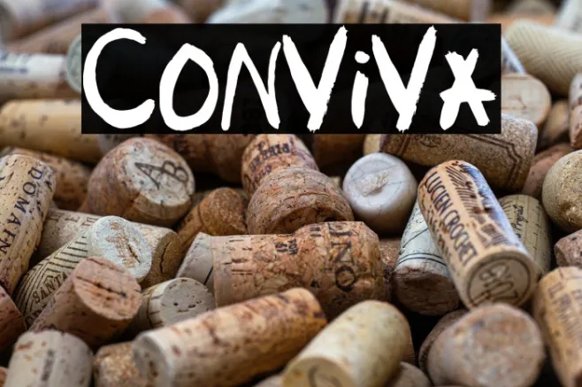 Conviva Example 2