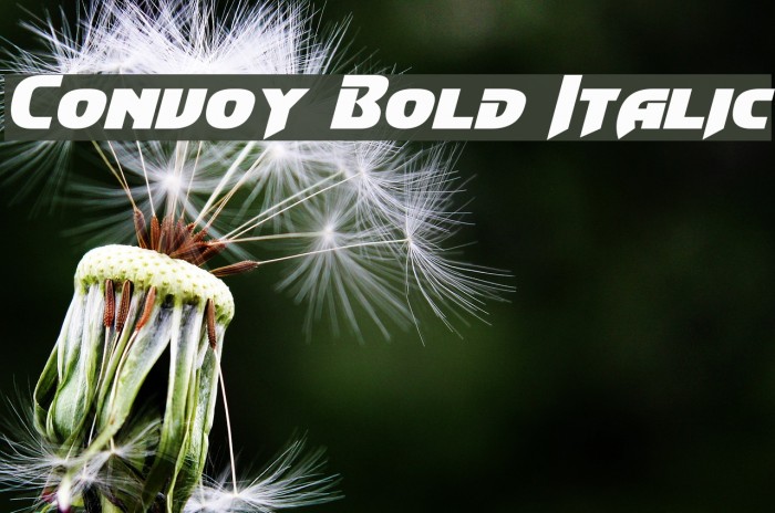 Convoy Bold Italic Font examples