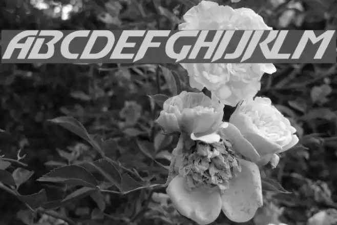 Convoy Normal Font examples