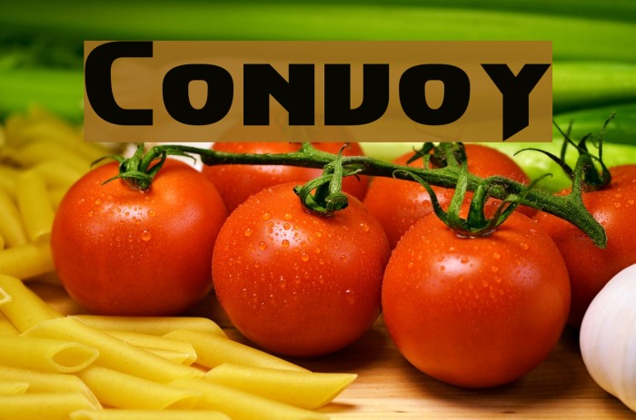 Convoy Fonte examples