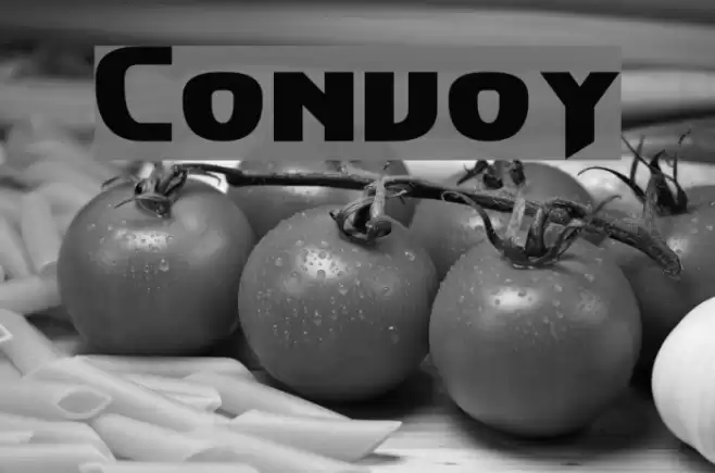 Convoy Font examples