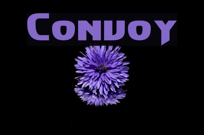 Convoy Fonte examples