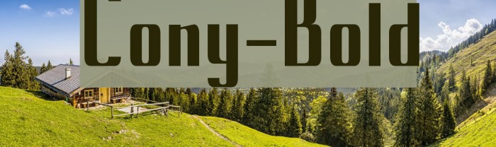 Cony-Bold Font examples