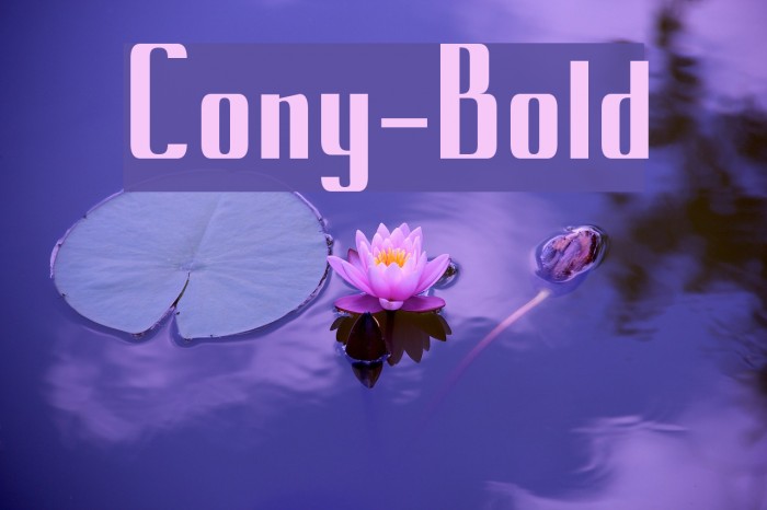 Cony-Bold Font examples