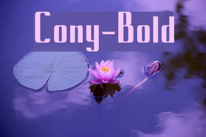 Cony-Bold Example 2